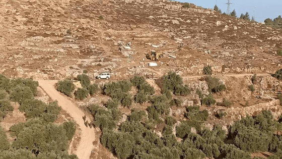 الاحتلال يعتدي على قاطفي الزيتون ويعتقل 6 منهم في حوسان