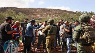 قوات الاحتلال تعتقل شقيقين خلال قطفهما ثمار الزيتون في الخضر