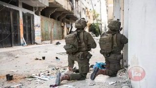 381 يوما للحرب على فلسطين