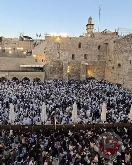 في سابع أيام عيد العرش- اقتحامات الأقصى وصلوات في البراق