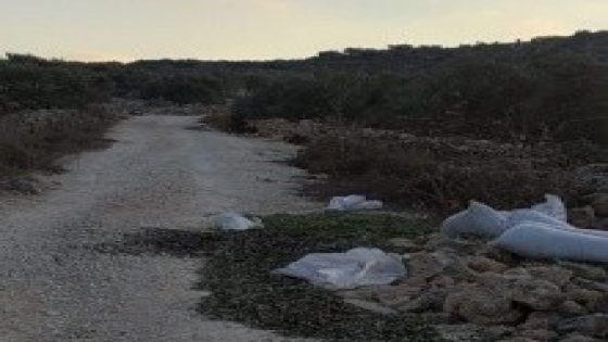جيش الاحتلال يعتدي على المزارعين ويدمر محصول الزيتون شرق قلقيلية