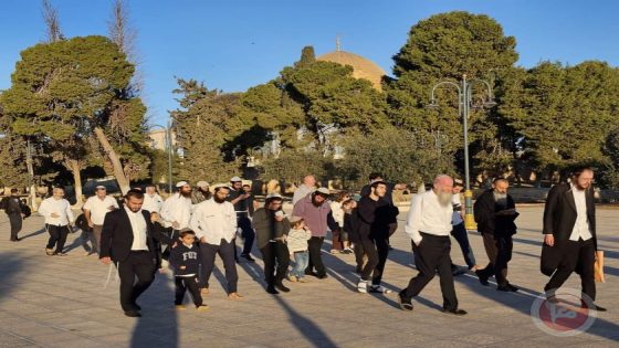 اقتحامات واسعة للاقصى وصلوات جماعية وعلنية في خامس أيام” عيد العرش “
