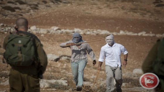 تقرير: معاناة المزارعين في موسم قطاف الزيتون هذا العام أشد قسوة
