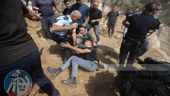 الاحتلال يعتدي على قاطفي الزيتون في سبسطية شمال غرب نابلس