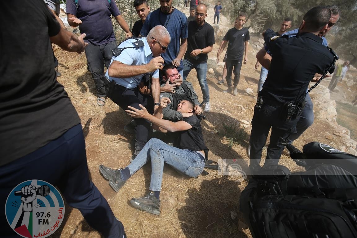الاحتلال يعتدي على قاطفي الزيتون في سبسطية شمال غرب نابلس