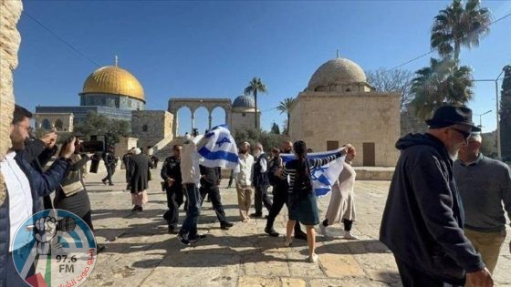 “الإفتاء” يحذر من عواقب اعتداءات الاحتلال ومستوطنيه بحق المسجدين “الأقصى” و”الإبراهيمي”