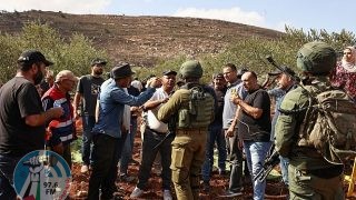 الاحتلال يطلق النار صوب قاطفي الزيتون جنوب نابلس