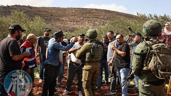 الاحتلال يطلق النار صوب قاطفي الزيتون جنوب نابلس