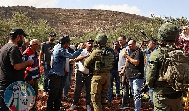 الاحتلال يطلق النار صوب قاطفي الزيتون جنوب نابلس