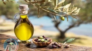 المفتي العام يدعو المزارعين لإخراج زكاة الزيت والزيتون