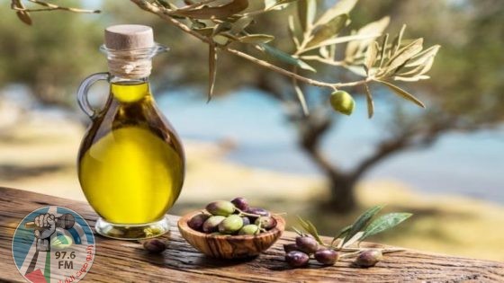 المفتي العام يدعو المزارعين لإخراج زكاة الزيت والزيتون