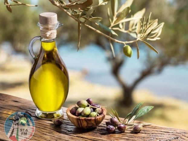 المفتي العام يدعو المزارعين لإخراج زكاة الزيت والزيتون