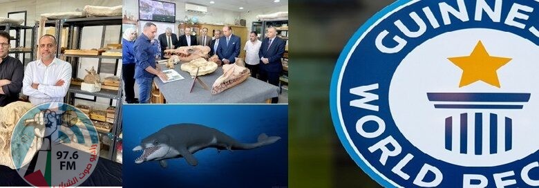 مصر تدخل غينيس بحفرية “الحوت توتسيتس”