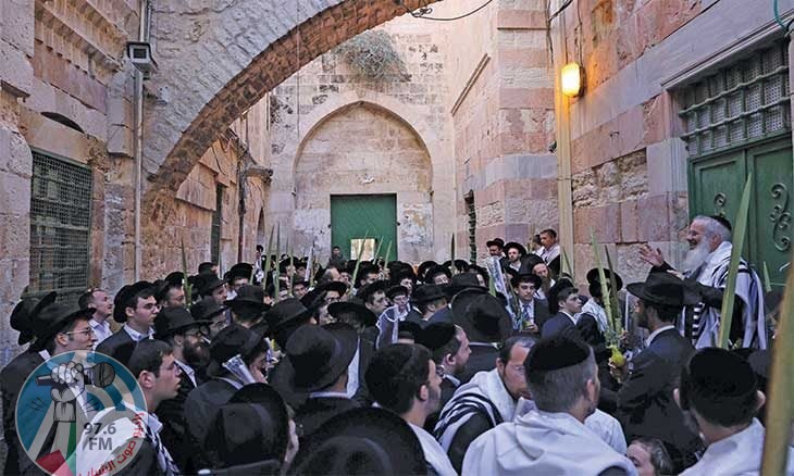مئات المستوطنين يقتحمون الأقصى في سادس أيام “عيد العرش”