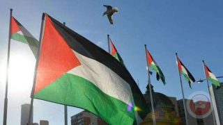 فلسطين تحصد جوائز في ختام الدورة الـ45 من مهرجان القاهرة السينمائي الدولي