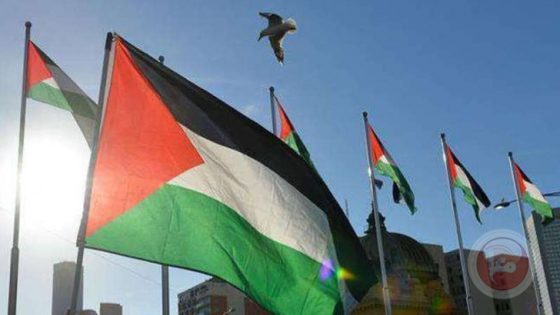 فلسطين تحصد جوائز في ختام الدورة الـ45 من مهرجان القاهرة السينمائي الدولي