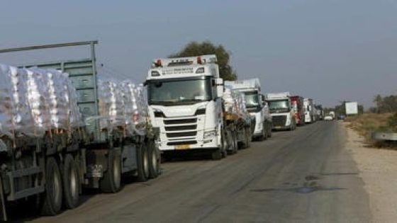 أبو ردينة: الحديث عن إنشاء منطقة عازلة للمساعدات في غزة مرفوض تماما