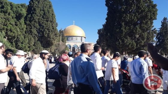 170 مستوطنا يقتحمون المسجد الأقصى