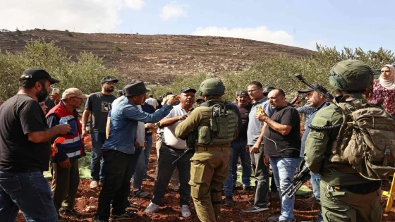 الاحتلال يمنع المزارعين من الوصول إلى أراضيهم لقطف الزيتون في قصرة جنوب نابلس