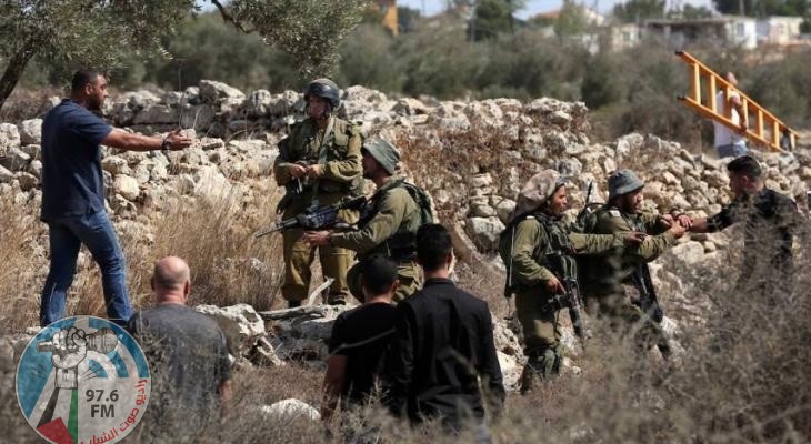 الاحتلال يمنع المزارعين من قطف ثمار الزيتون شرق نابلس