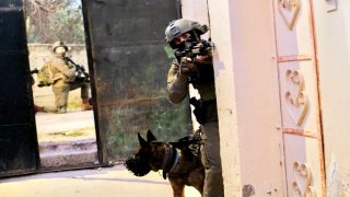 بينهم أطفال- الاحتلال يعتقل 12 مواطنا من الضفة