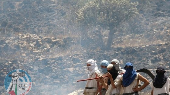 مستوطنون يعتدون على مزارعين شرق نابلس