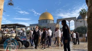 مستوطنون يقتحمون المسجد الأقصى