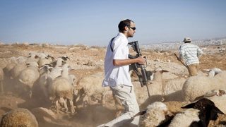 مستوطنون يقيمون بؤرة جديدة في الأغوار الشمالية
