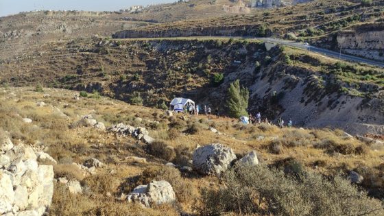 مستوطنون يقتلعون أشجارا من خربة طانا شرق نابلس