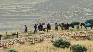 مستعمرون يسيجون أراضي قرب مساكن المواطنين في عين الحلوة بالأغوار الشمالية