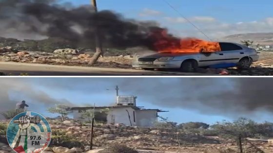 مستعمرون يحرقون منزلا ومركبتين وبقالة في بيت فوريك شرق نابلس
