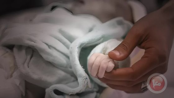 إسرائيل قتلت 1091 رضيعا فلسطينيا بغزة منذ 7 أكتوبر