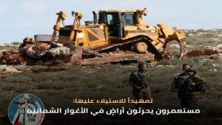 تمهيدا للاستيلاء عليها: مستعمرون يحرثون أراضٍ في الأغوار الشمالية
