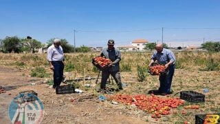 الاحتلال يدمر محاصيل زراعية في أريحا