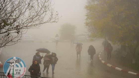 "الأرصاد الجوية": كميات الأمطار خلال الموسم الحالي 43% من الكميات المفترض نزولها