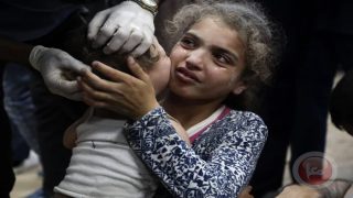 31 شهيدا خلال يوم في غزة و45.059 منذ بدء الحرب