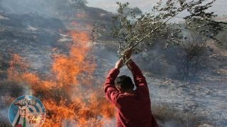 الاحتلال يهدم منزلين ويجرف أشجار زيتون في بلدة حزما