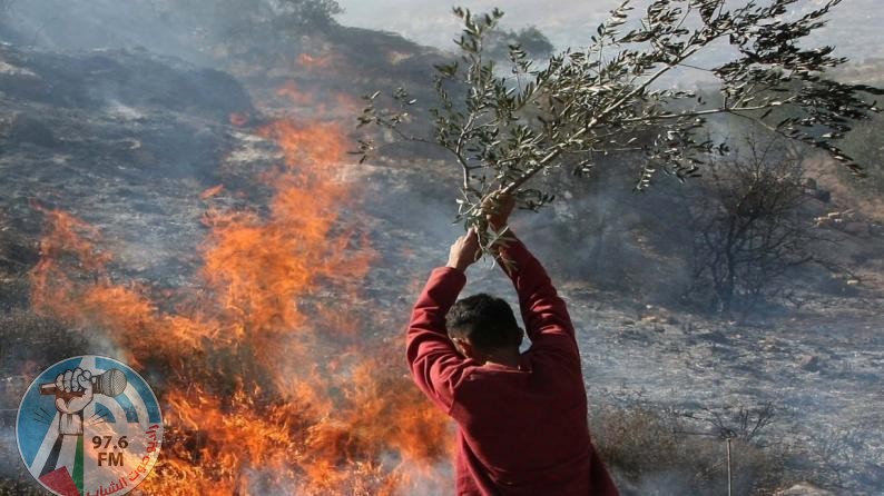 الاحتلال يهدم منزلين ويجرف أشجار زيتون في بلدة حزما