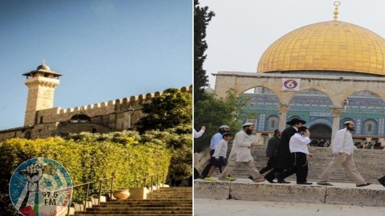 الاحتلال اقتحم الأقصى 20 مرة ومنع رفع الأذان في “الإبراهيمي” 55 وقتا الشهر الماضي