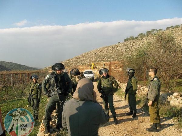 الاحتلال يشرع بمسح أراضٍ في جورة الشمعة جنوب بيت لحم