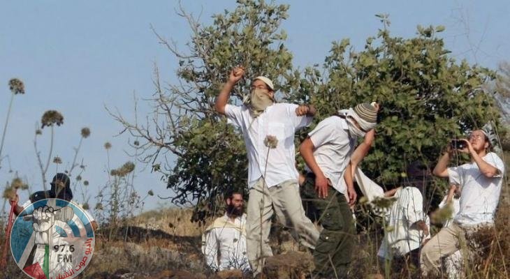 مستعمرون يهاجمون منازل المواطنين في سنجل شمال رام الله