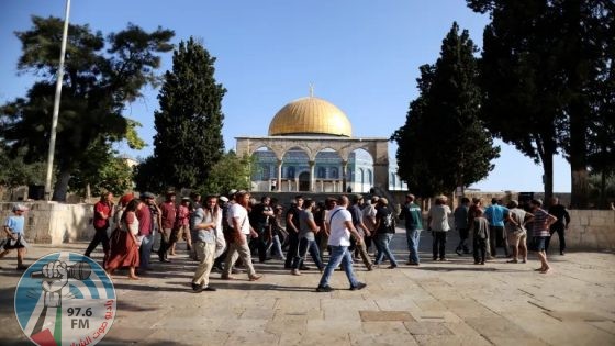 233 مستعمرا يقتحمون المسجد الأقصى
