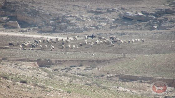 الاحتلال يعتقل 5 مواطنين من مسافر يطا جنوب الخليل