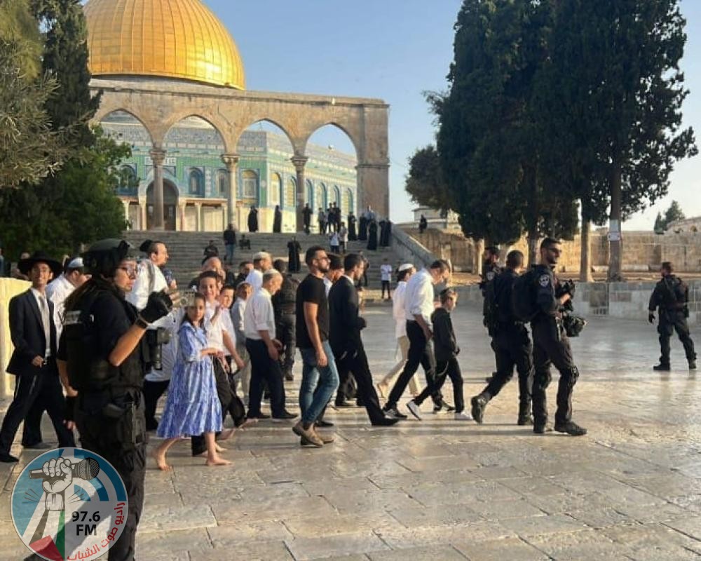 259 مستعمرا يقتحمون المسجد الأقصى