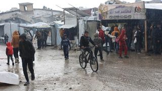 463 يوما للحرب على فلسطين