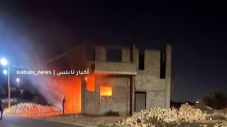 هجوم للمستوطنين قرب قلقيلية