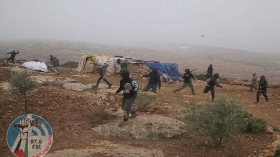 مستوطنون يحرثون أراضي زراعية في الخضر جنوب بيت لحم