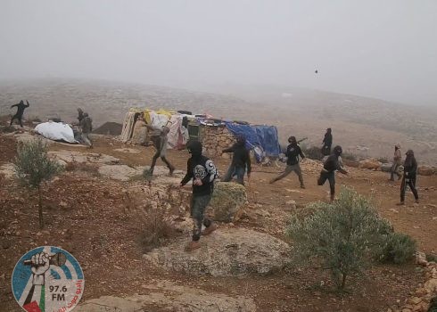 مستوطنون يحرثون أراضي زراعية في الخضر جنوب بيت لحم