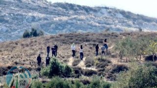 مستوطنون يرعون أغنامهم بين مساكن المواطنين غرب أريحا
