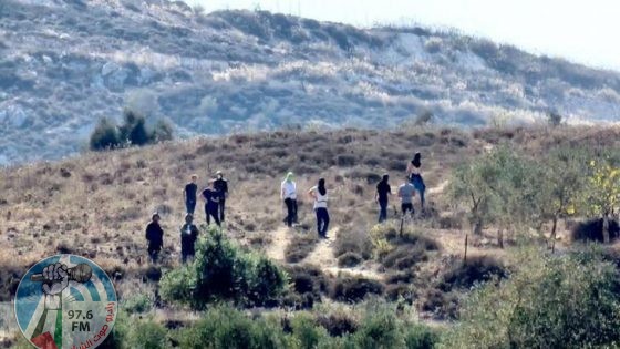 مستوطنون يرعون أغنامهم بين مساكن المواطنين غرب أريحا